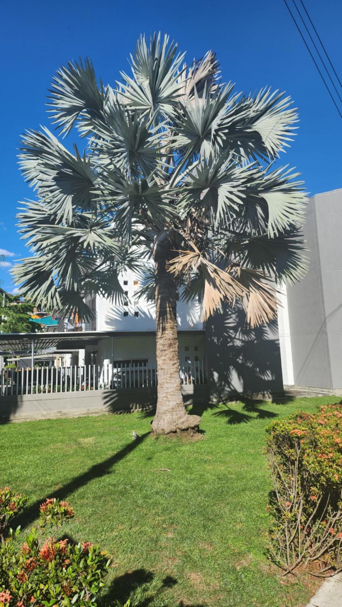 Apartasol Club Ciudadela Santa Fe - ซานตาเฟเดอันตีโอเกีย ภายนอก รูปภาพ